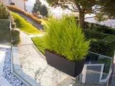 Γλαστροθήκη Ζαρντινιέρας C Mood